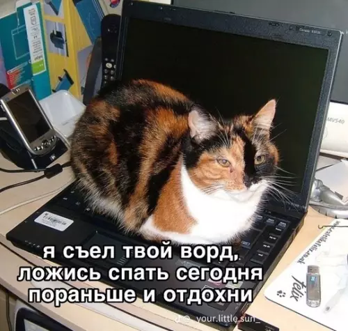 Картиночки, баянчики 12 марта