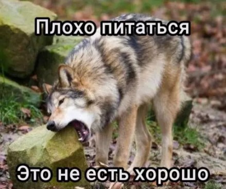 Картиночки, баянчики 26 марта