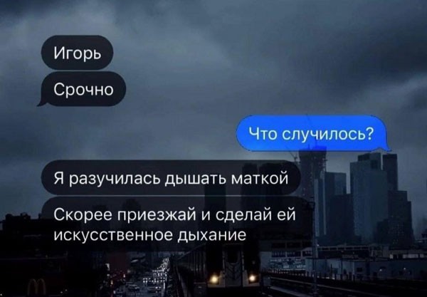 Забавные и не очень скромные картинки - 30