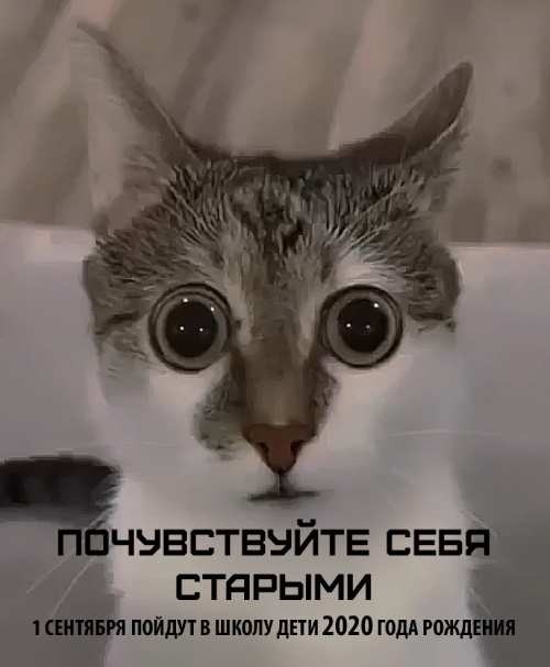 Веселые картинки в последний день лета (31.08)