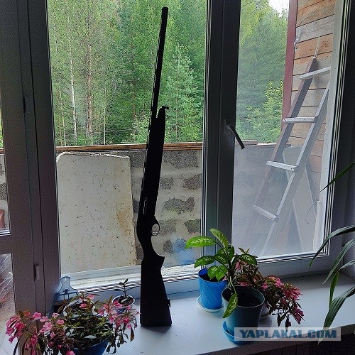 Оружейные обновки