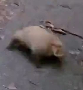 Спасение