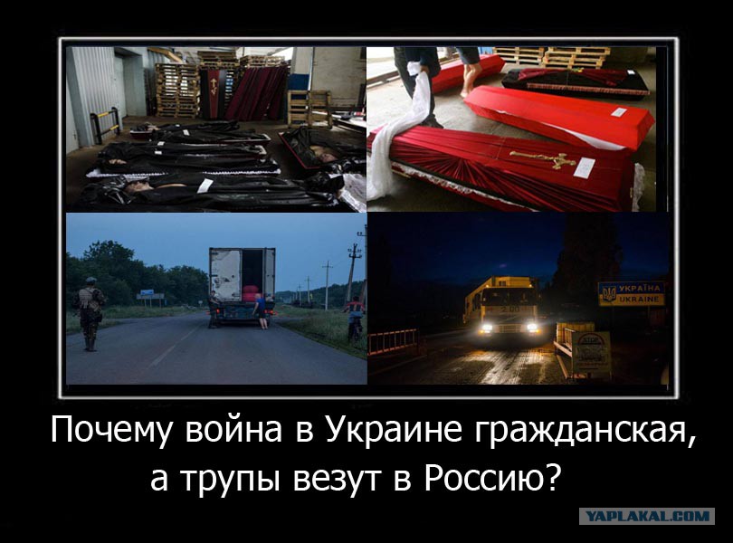 С украиной воюете а против кого. Война между россией и украиной. Кто за россию и кто за украину страны. Нет войне задержания пикеты. За что мы воюем на украине.