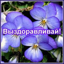 Чёрт, чёрт, чёрт!