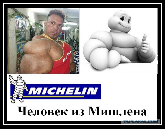 Синтоловые уродцы. Один вопрос "нахрена?!"