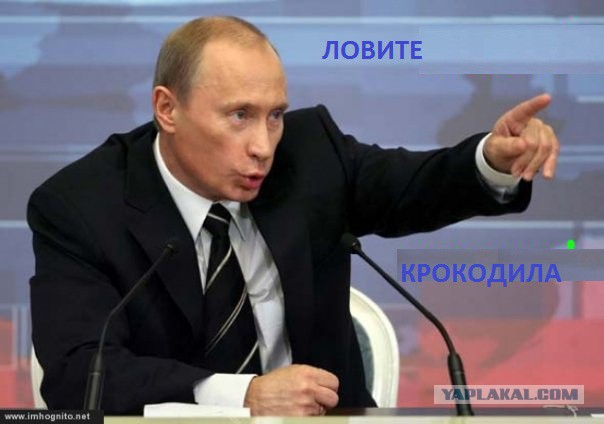 Лови наркомана