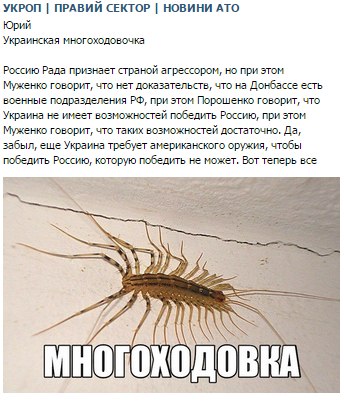 Политическая солянка #1