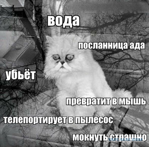 Депрессивный понедельник