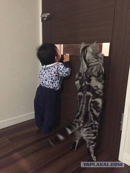 Понедельника картинки