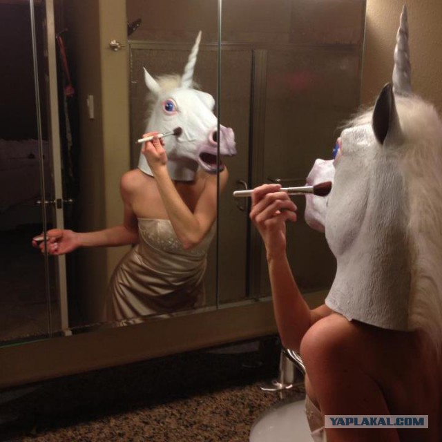 Картинки из сети (07.04.16)