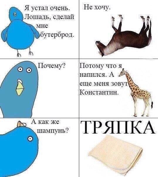 Факты и наблюдения из всей сети