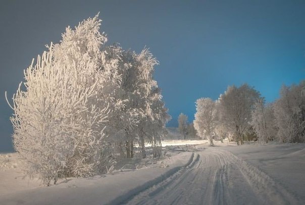 Моменты, запечатлённые на фото и просто позитив 5
