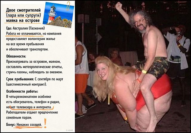Мечта, а не работа!
