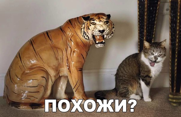 Картинки с надписями на разные темы - 2