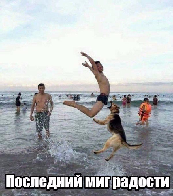 Вспомним былое. Прикольные баяны за 2017 год