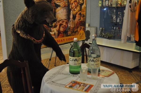 Шокированные иностранцы делятся