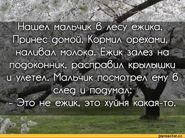 Добрые истории, которые могут изменить мир