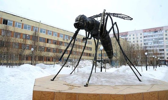 Несколько фоток нашего города Ноябрьск