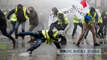 Дочь Пескова пожаловалась на роскошную жизнь в Париже