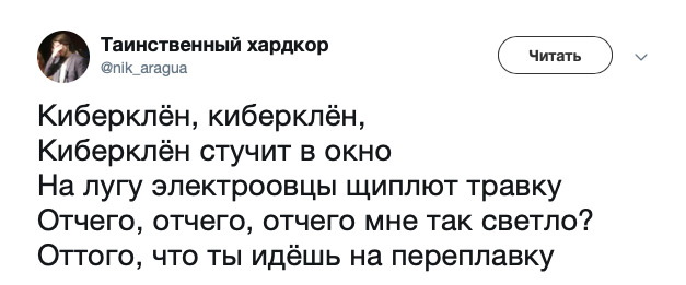 Картинки с надписями, истории и анекдоты