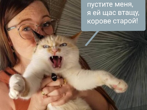 «Рыси ели людей». Чешская пенсионерка 17 лет выдает себя за узницу ГУЛАГа