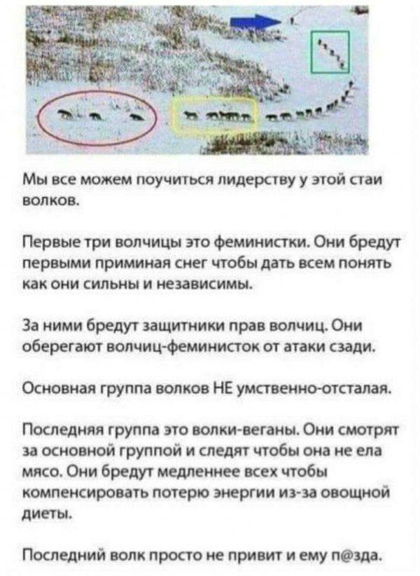 Чуток картинок! 26.12.19