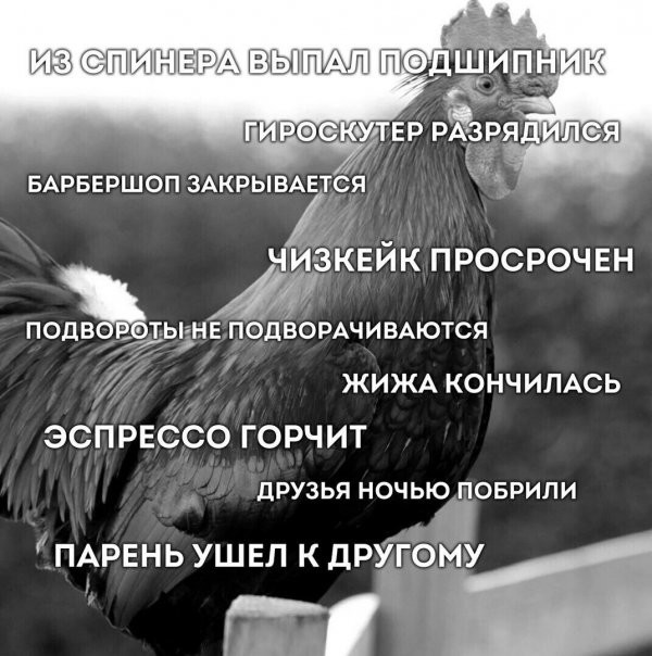 Что происходит с русским языком, коллеги?