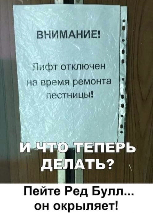 Фотки и картинки: юморные и красивые, забавные и милые 15.10.20