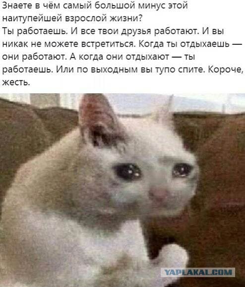 Бредзона 15.10.2020