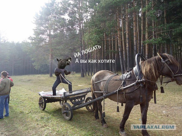 Фотожаба: если б я имел коня...