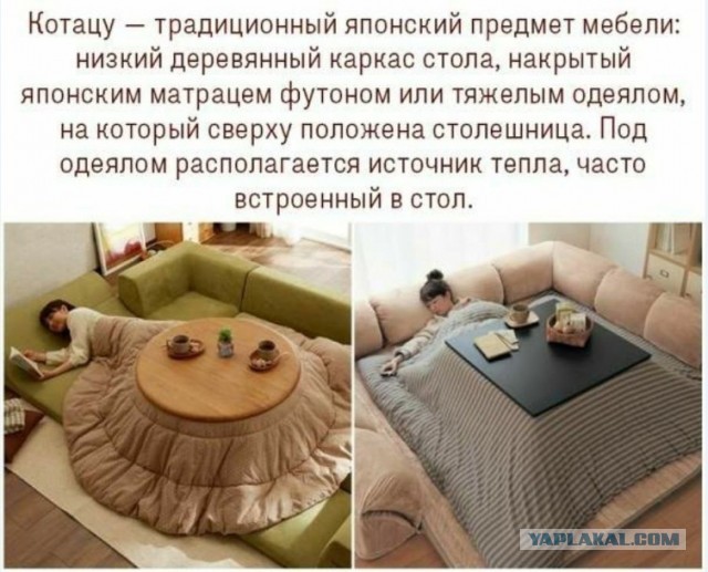 Картинки и мемы для настроения 028