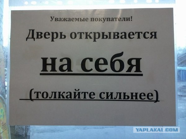 Терминатор, который очень любит сыр