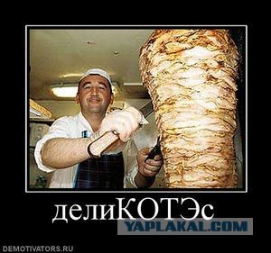 Billa - сегодня лучший день для меня