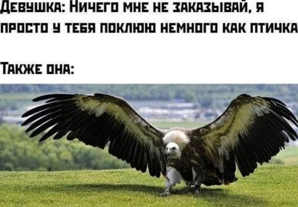 Картинки и мемы для настроения 01.06.2021