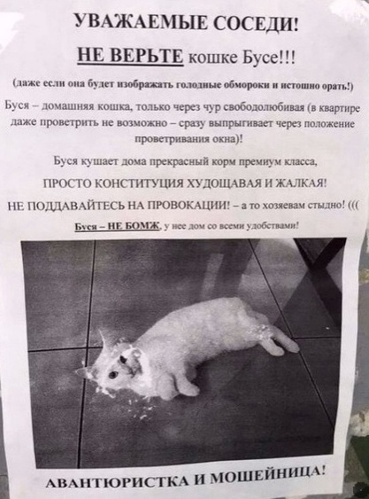 Картинки и мемы для настроения 04.08.2021