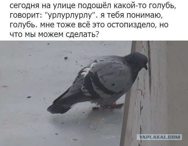 Подавление личности, практика концлагеря