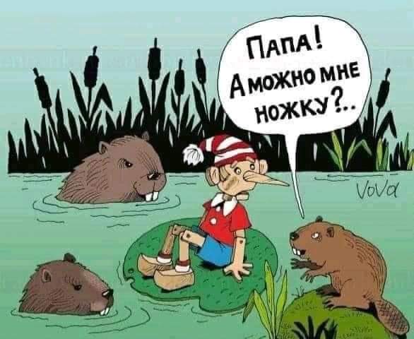 Всяческие картинки 10.11.2021