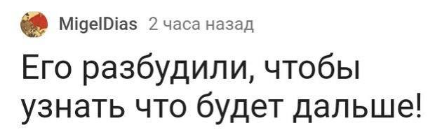 Вольфыч, просыпайся уже