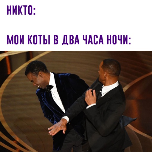 Картинки и мемы для настроения 31.03.2022