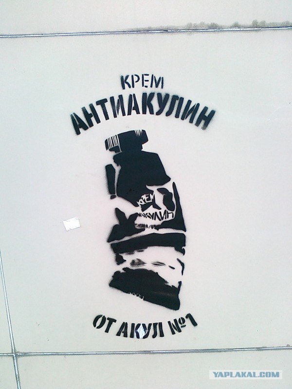 Отчет о спасении от акулы