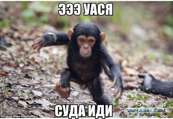 Полиция Ставрополя ищет напавших на пенсионера