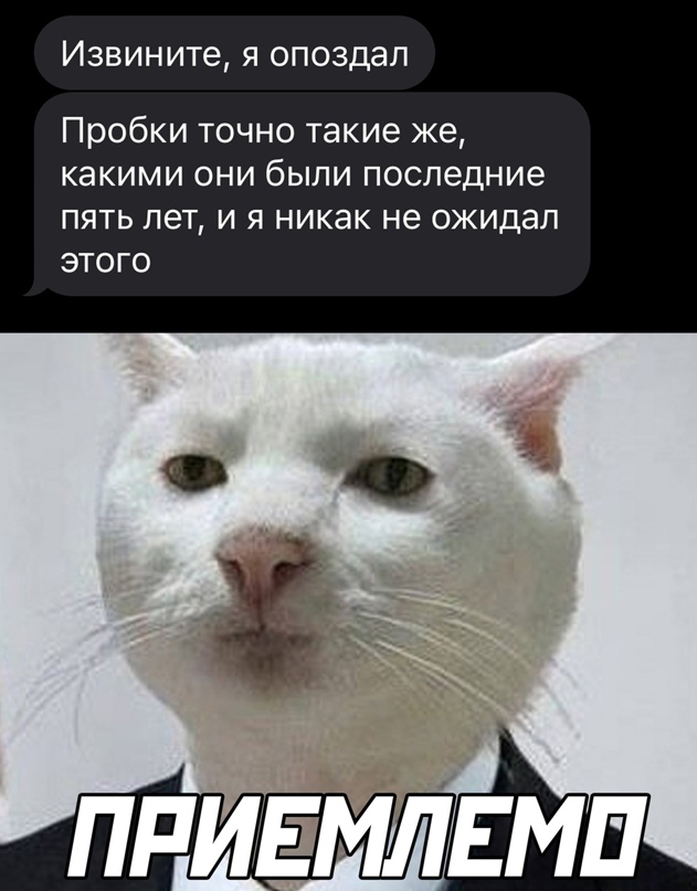 Весёлый полтишок 26.04.22