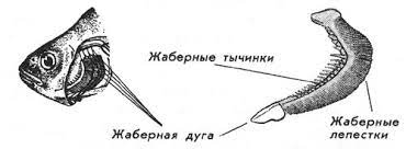 Находка