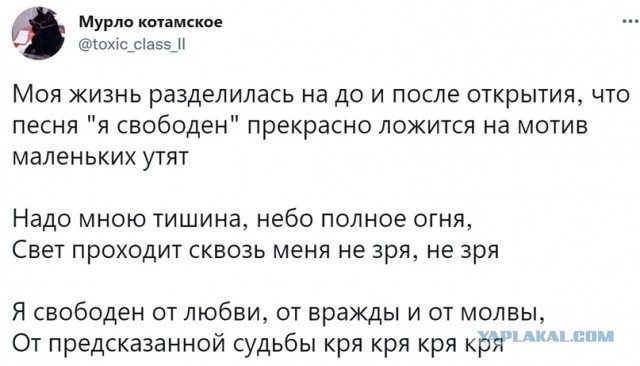 Картинки аморальные и всякие разные - 37
