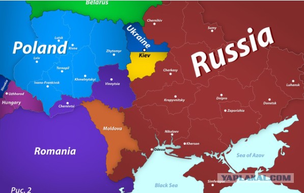Донецк опять обсыпали лепестками
