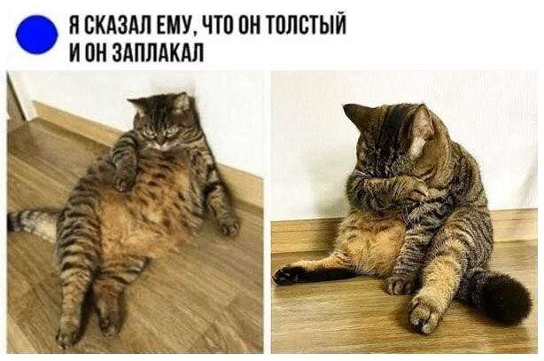 Картинки и мемы для настроения - 23