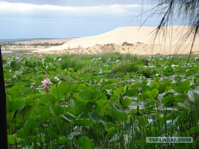 Вьетнам 2012
