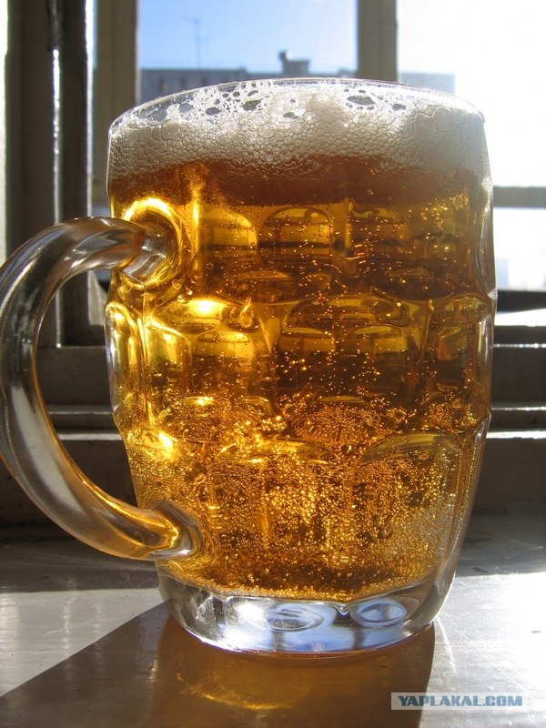 Пивная Прага