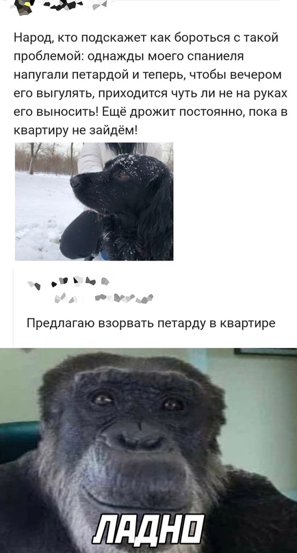 Картинки и мемы для настроения - 133