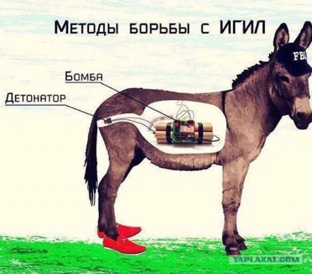 Кавказская пленница